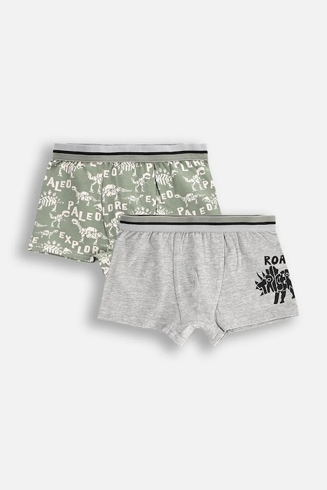 Dětské boxerky Coccodrillo 2-pack zelená barva, PANTS