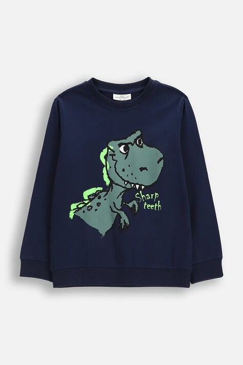 Coccodrillo longsleeve bawełniany kolor niebieski z nadrukiem EVERYDAY BOY