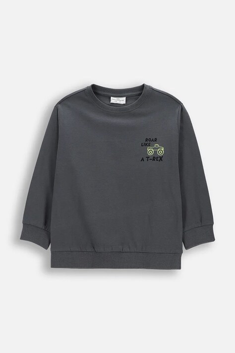 Детска блуза с дълги ръкави Coccodrillo в сиво с принт NORMCORE BOY KIDS