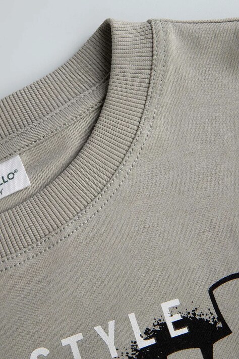 Coccodrillo longsleeve bawełniany dziecięcy kolor szary z nadrukiem REBEL SKATER BOY JUNIOR