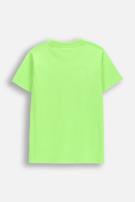Detské tričko Coccodrillo zelená farba, s potlačou, EVERYDAY BOY