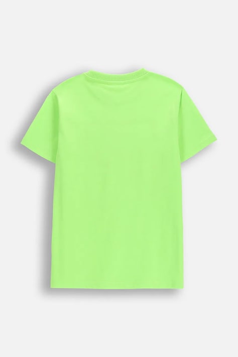 Detské tričko Coccodrillo zelená farba, s potlačou, EVERYDAY BOY