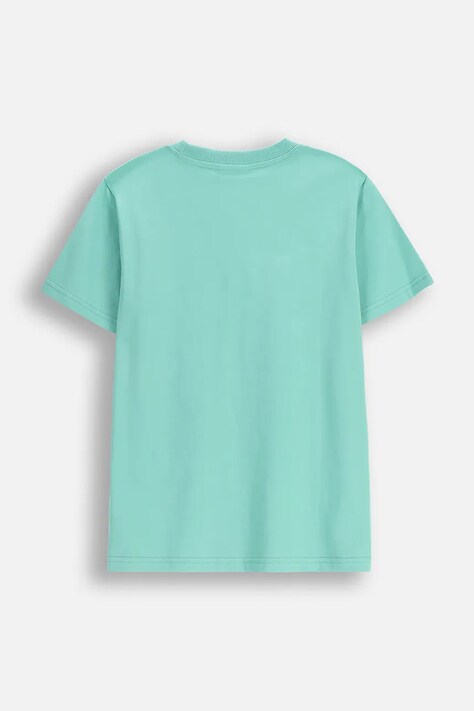 Coccodrillo t-shirt bawełniany dziecięcy kolor zielony z nadrukiem EVERYDAY BOY