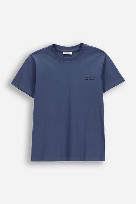 Coccodrillo t-shirt bawełniany dziecięcy kolor niebieski z nadrukiem EVERYDAY BOY