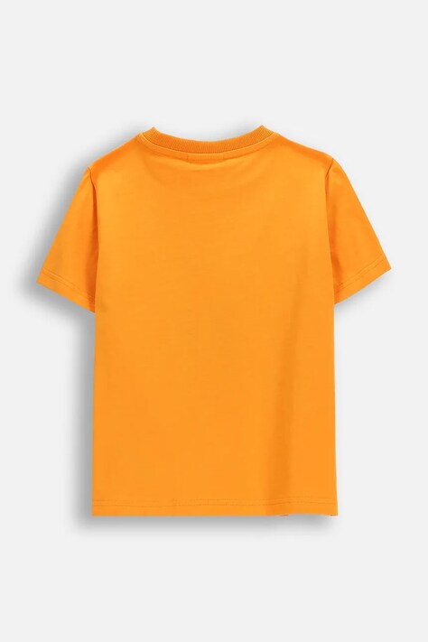 Coccodrillo t-shirt bawełniany dziecięcy kolor pomarańczowy z nadrukiem EVERYDAY BOY