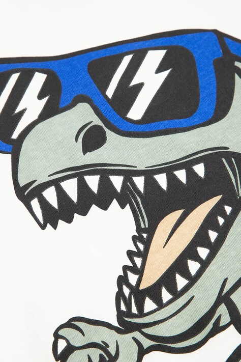 Coccodrillo t-shirt bawełniany dziecięcy kolor beżowy z nadrukiem NORMCORE BOY KIDS