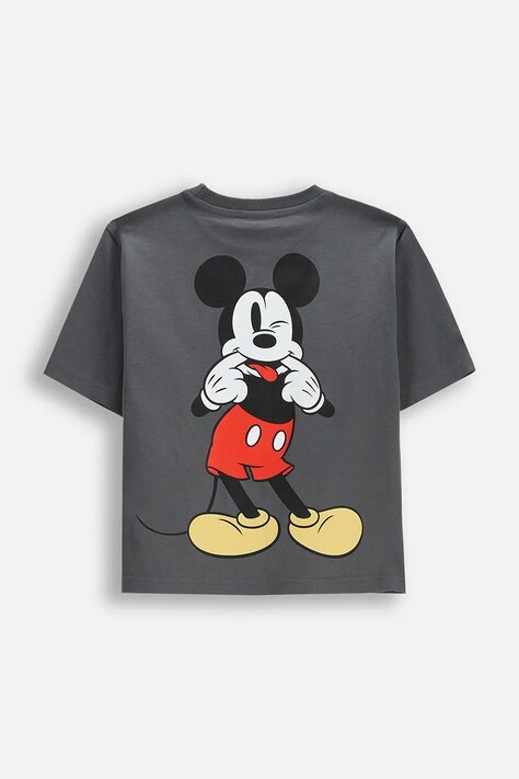 Coccodrillo T-shirt dziecięcy bawełniany szary LICENCE BOY