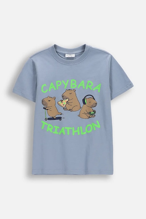 Детская хлопковая футболка Coccodrillo узор EVERYDAY BOY