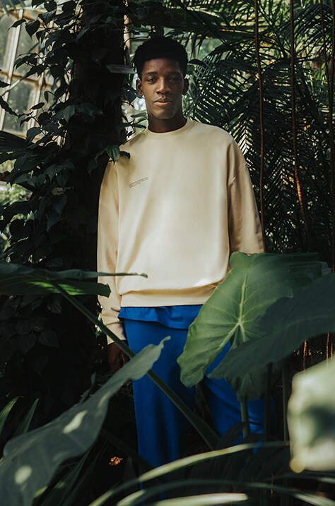 WALK IN THE JUNGLE