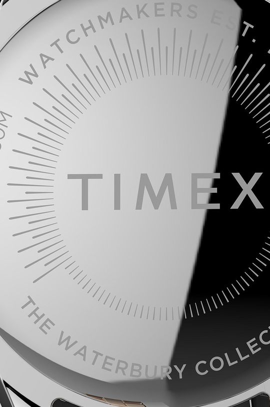 Hodinky Timex TW2T87000 Dámský