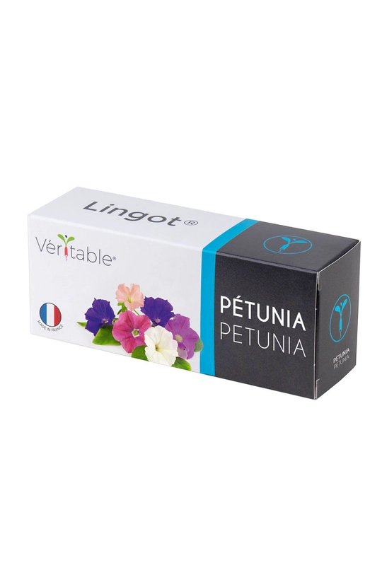 multicolore Veritable inserto per semi Petunia Unisex