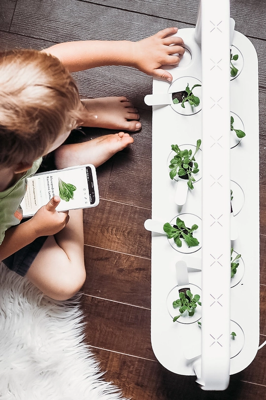 Click & Grow Αυτόνομος κήπος σπιτιού Smart Garden 9