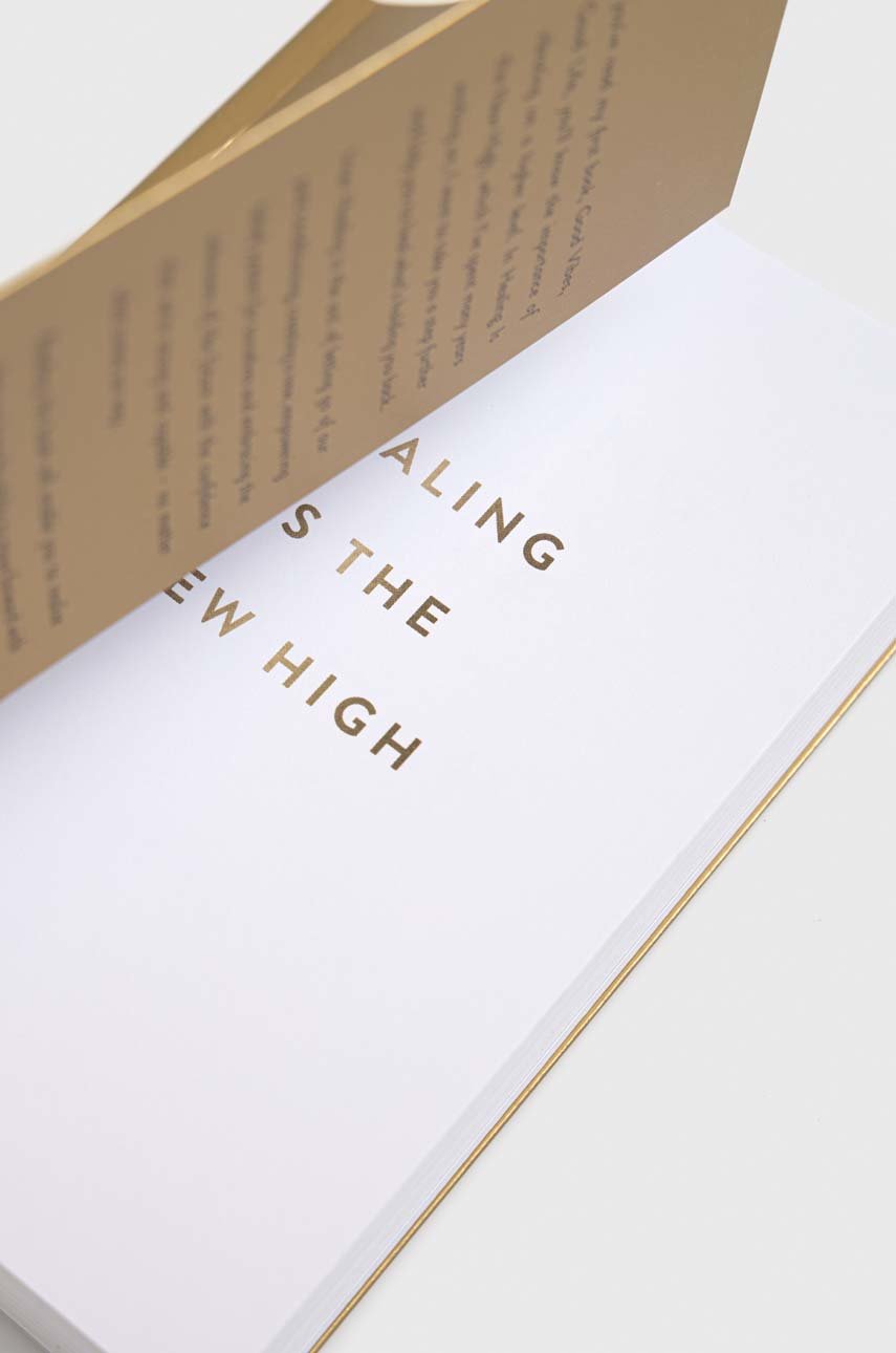 Hay House UK Ltd książka Healing Is the New High, Vex King