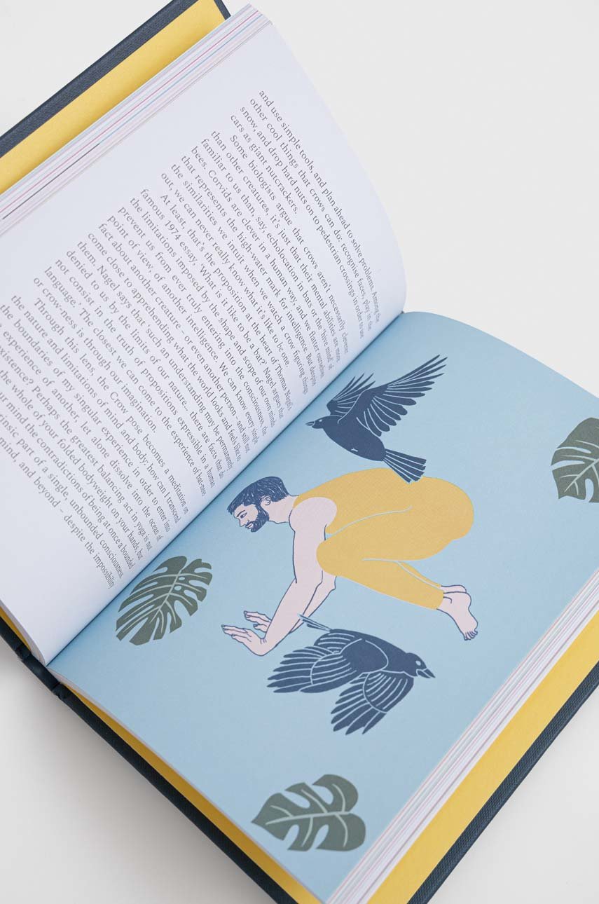 Bloomsbury Publishing PLC książka Curious Poses, Lucy Greeves