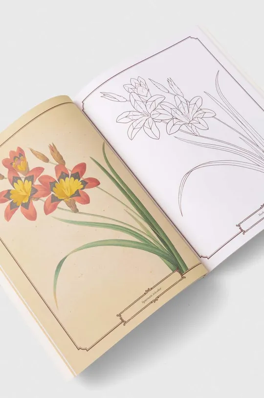 Arcturus Publishing Ltd kolorowanka Beautiful Flowers Colouring Book, Peter Gray multicolor