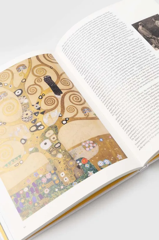 Βιβλίο Taschen GmbH Klimt - Basic Art Series by Gilles Néret, English πολύχρωμο