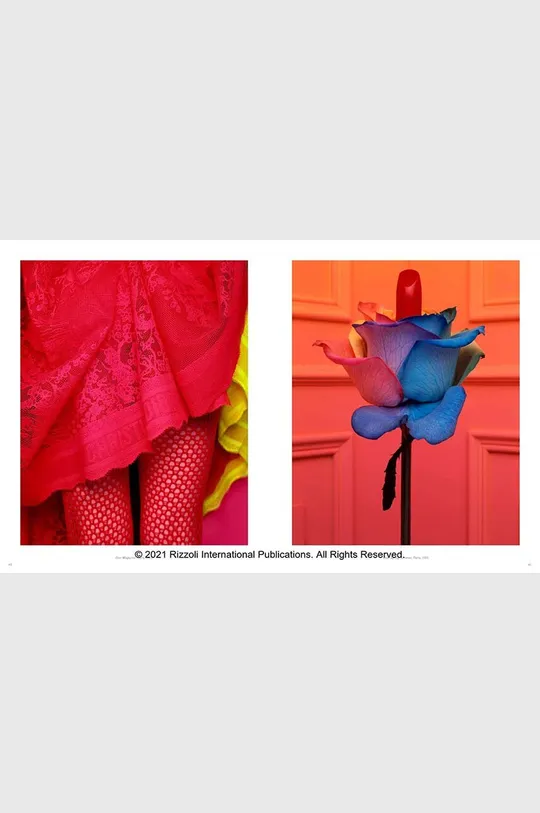 multicolore libro Photographie: Christian Dior by Brigitte Niedermair, Olivier Gabet, English