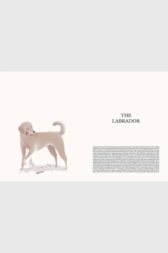 Βιβλίο DOG - Stories of Dog Ownership by Julian Victoria, English πολύχρωμο