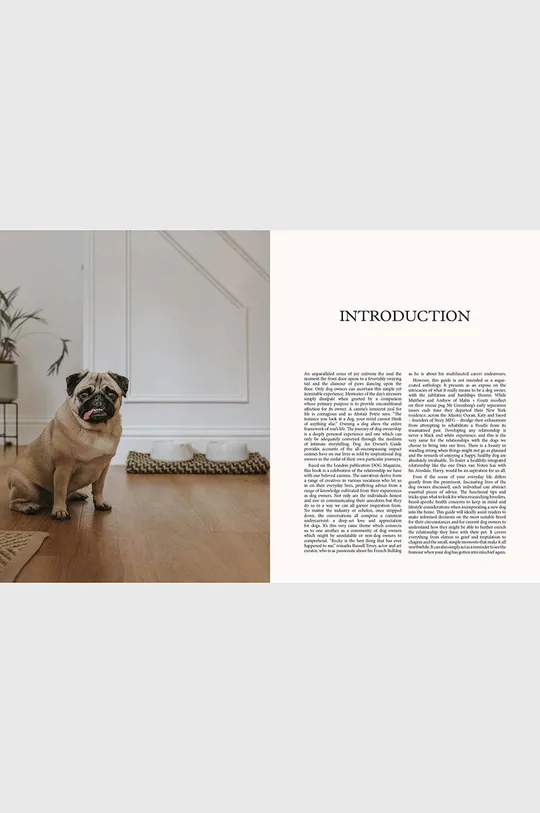 libro DOG - Stories of Dog Ownership by Julian Victoria, English