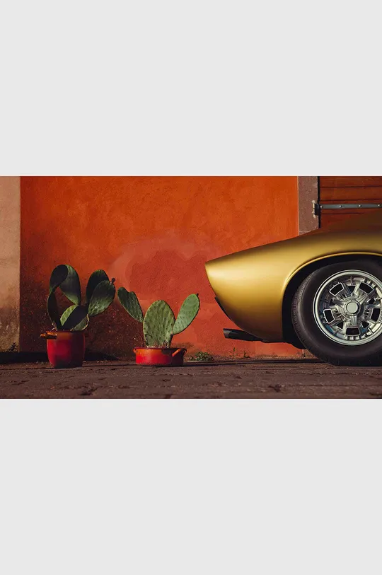 πολύχρωμο Βιβλίο Lamborghini with Italy, for Italy byDavide Rampello, Stefano Guindani, English