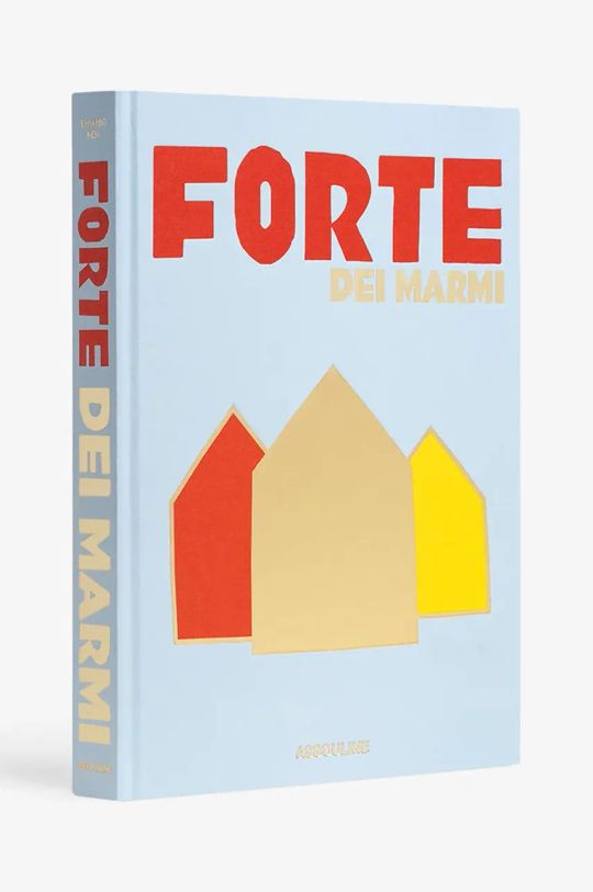 Assouline carte Forte Dei Marmi by Edoardo Nesi, English 9781649803481 multicolor AA00