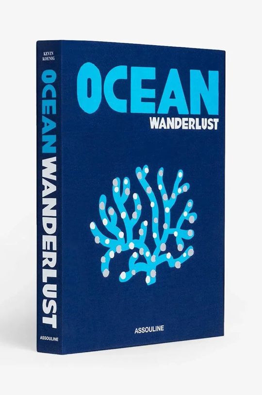 Assouline carte Ocean Wanderlust by Kevin Koenig, English 9781649802644 multicolor AA00