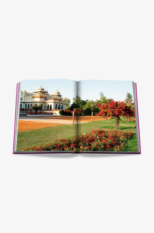 Книга Assouline Jaipur Splendor by Mozez Singh, English 9781649800688