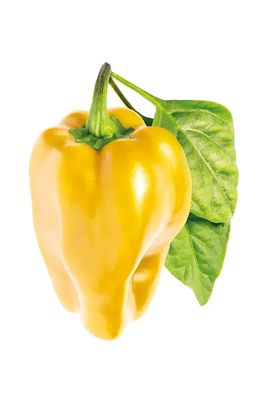 Click & Grow semenski vložek Żółta Słodka Papryka 