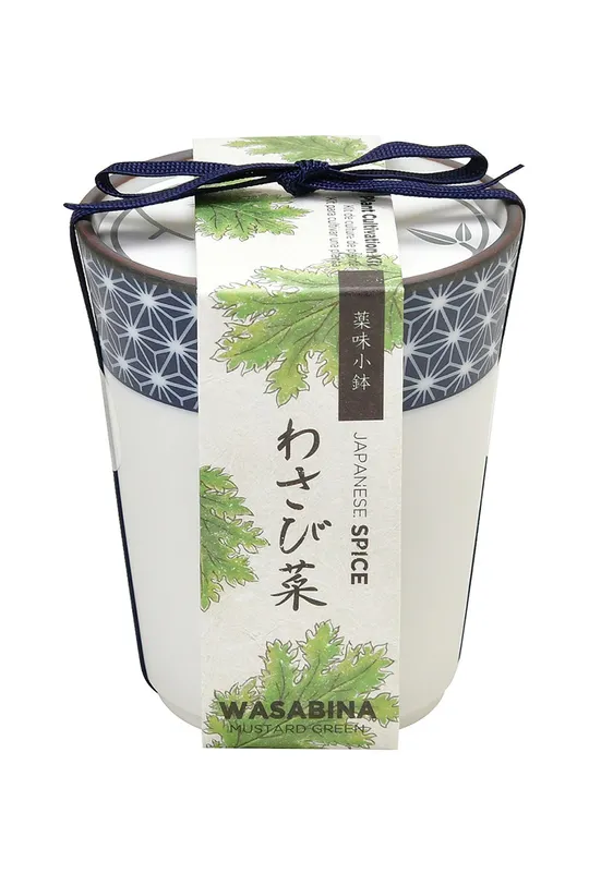 šarena Noted set za uzgoj biljaka Yakumi, Wasabina Unisex