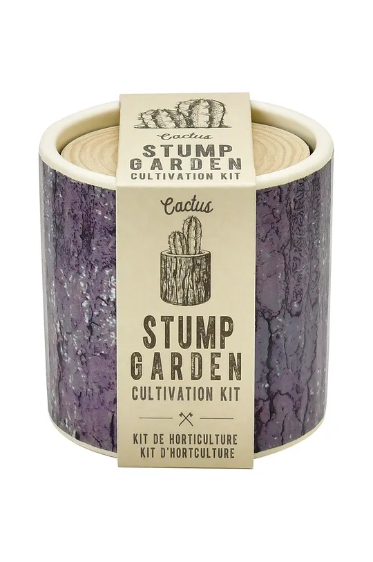 барвистий Noted набір для вирощування рослин Stump Garden, Cactus Unisex