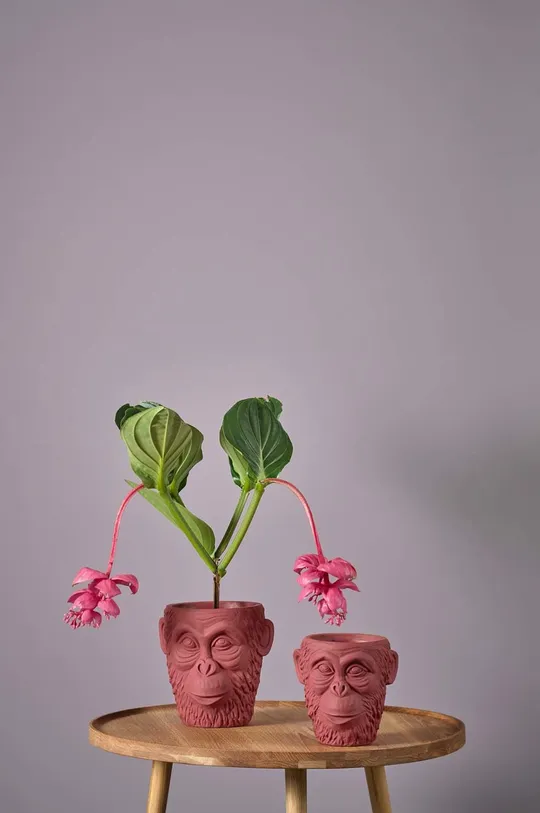 rosso Villa Collection vaso da fiori Calbe Gorilla