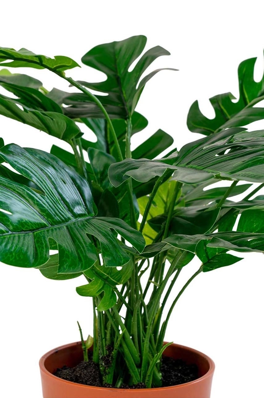 Umetna rastlina v loncu House Nordic Monstera pisana