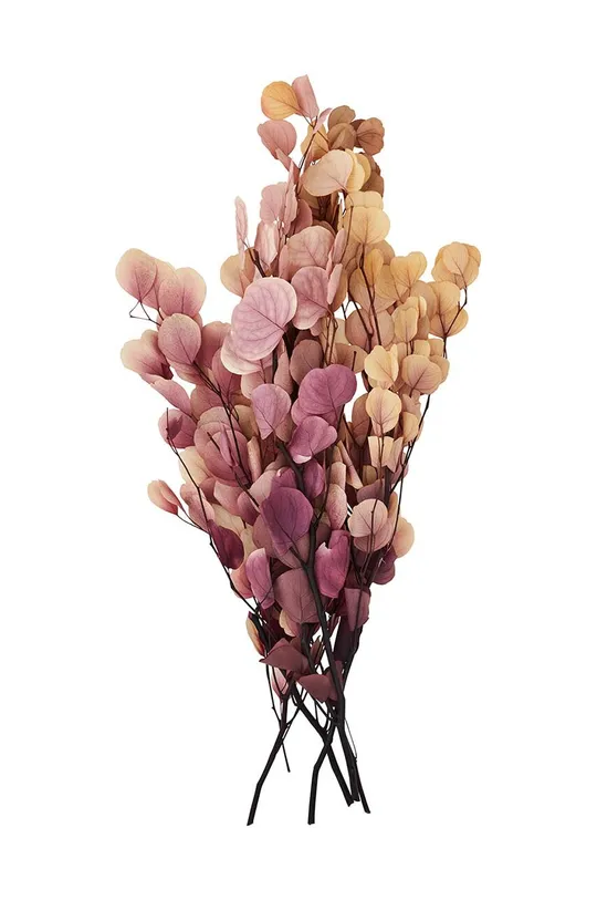 πολύχρωμο Αποξηραμένα άνθη Madam Stoltz Unisex