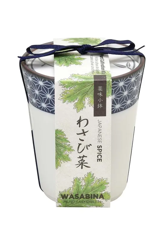 viacfarebná Sada na pestovanie rastlín Noted Yakumi, Wasabina Unisex