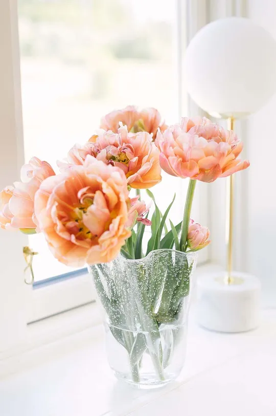 Dekoratívna váza Dorre Tulip priesvitná