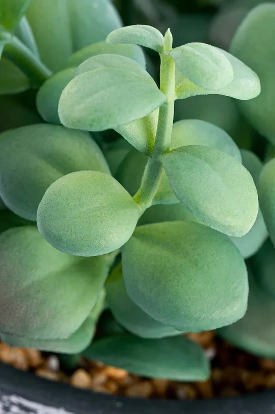 Umjetna biljka u lončanici šarena