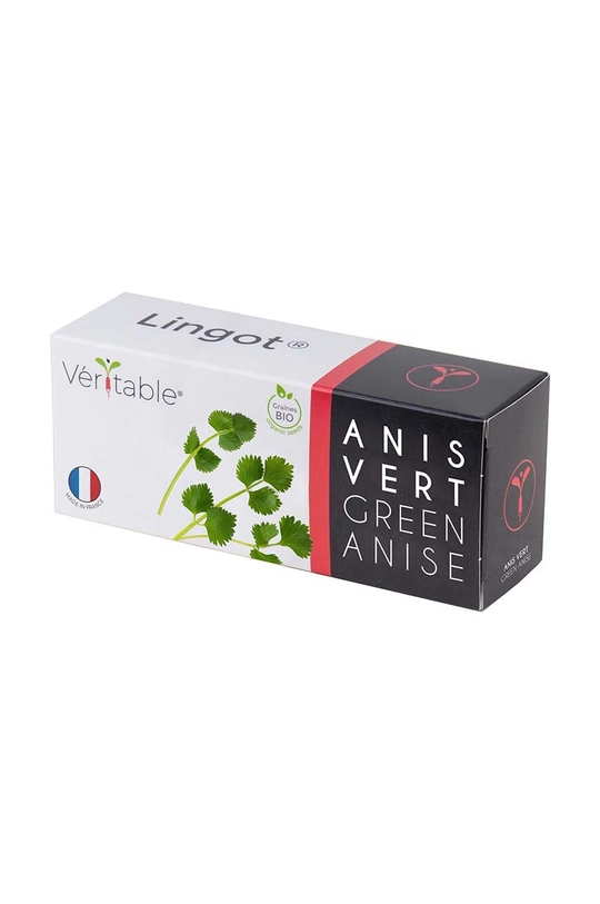 πολύχρωμο Ένθετο σπόρων Veritable Green Anise Unisex