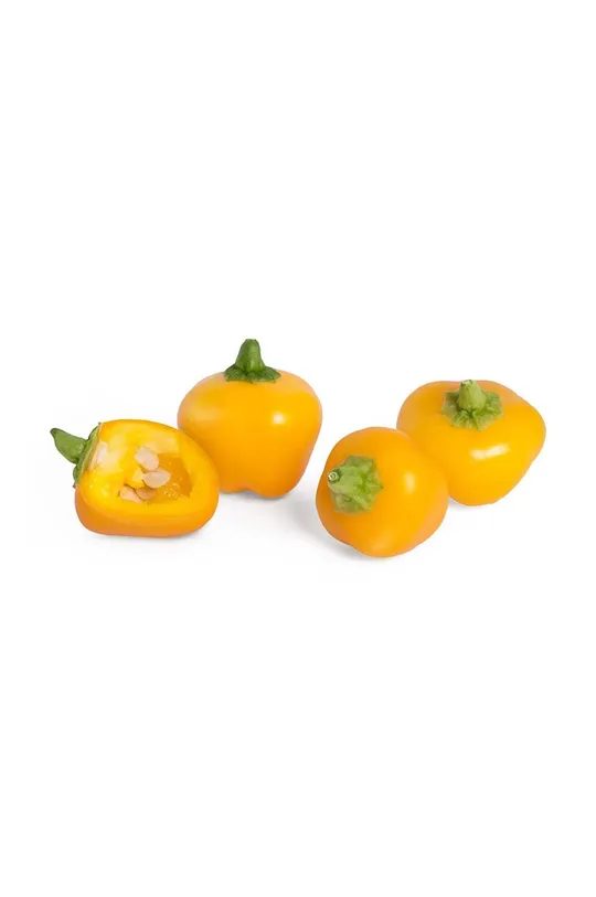 Veritable wkład nasienny Żółta Mini-Papryka multicolor