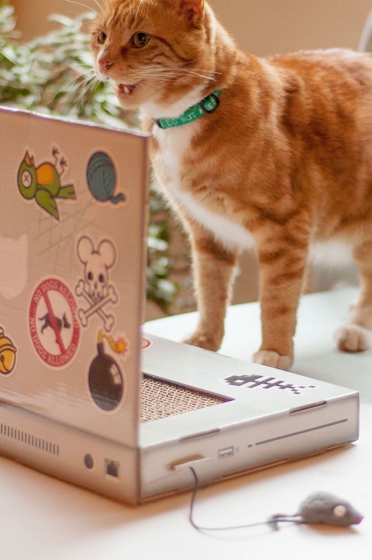Luckies of London škrabadlo pro kočky Scratch Laptop Unisex
