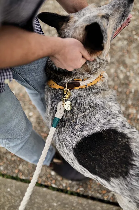 Uzica za psa Field + Wander Rope Leash  Pamuk
