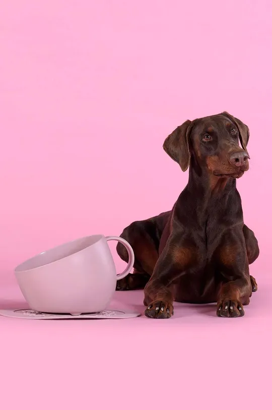 różowy United Pets miska dla psa Cup Dog