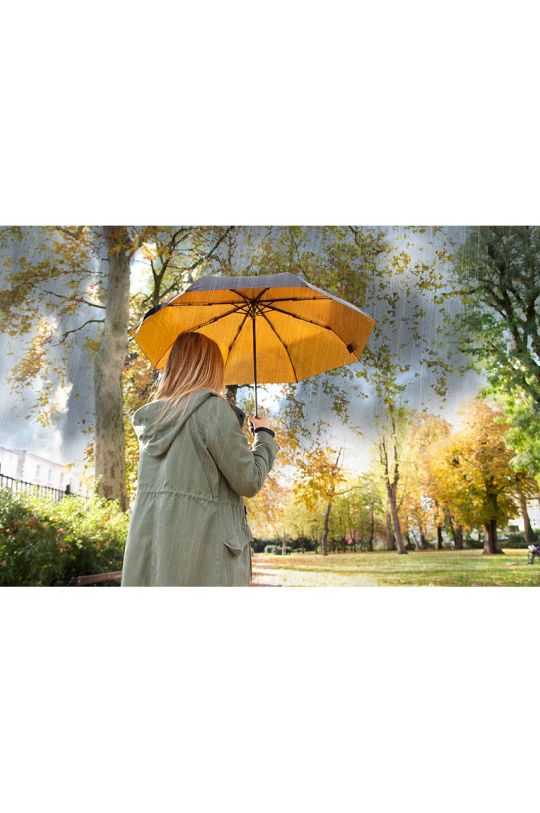 Luckies of London umbrela Black & Gold multicolor SK.UMBRELLA3