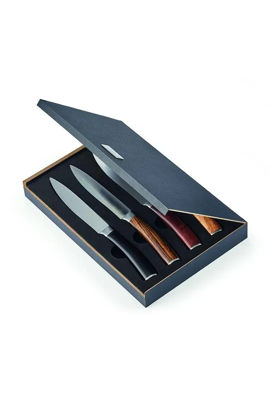 Набір ножів для стейків у футлярі Philippi Garry 4-pack барвистий