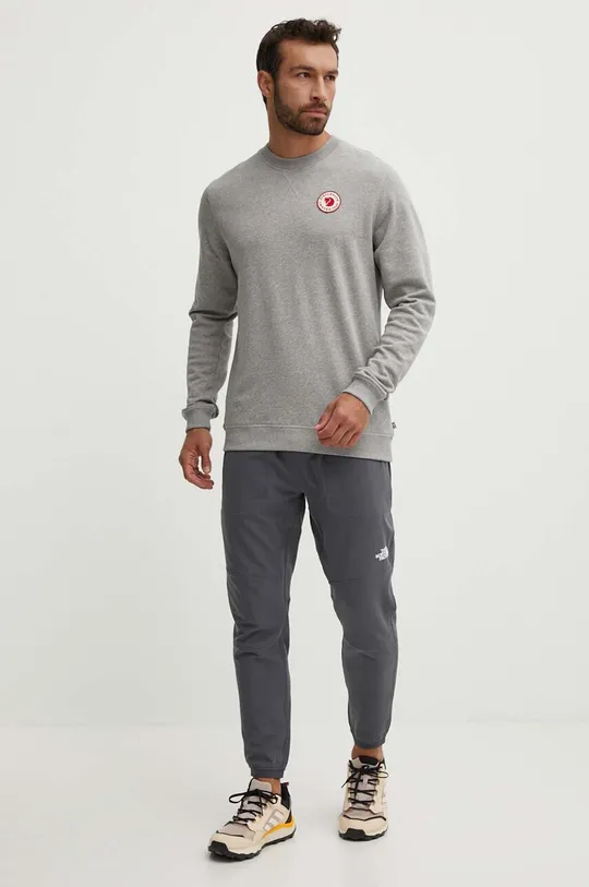 Спортивные штаны The North Face серый