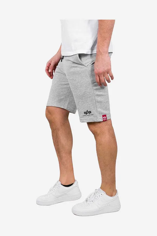 gray Alpha Industries shorts Big Letters