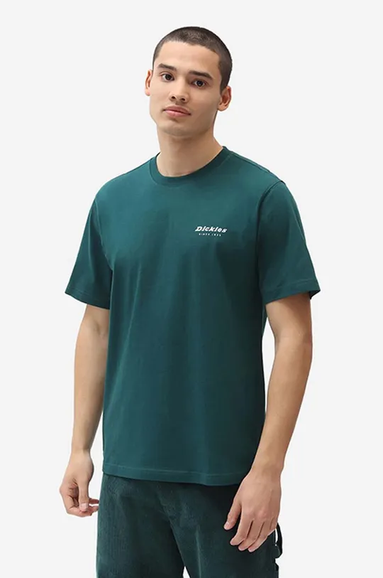 zelená Bavlněné tričko Dickies Reworked Tee Pánský