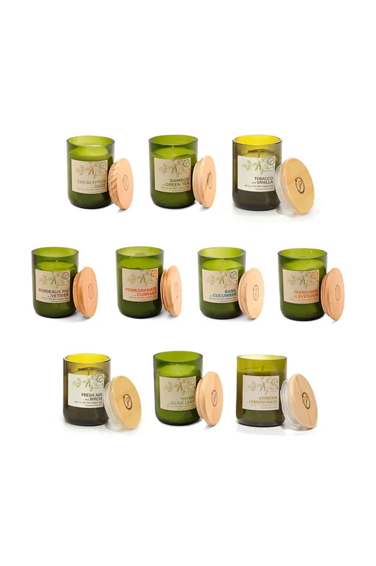 Paddywax świeca zapachowa sojowa Bamboo & Green Tea 226 g multicolor