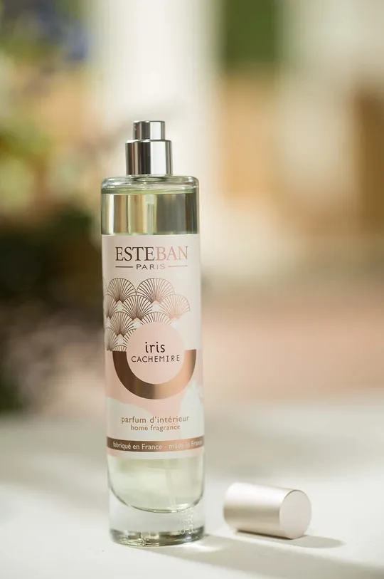 Izbová vôňa Esteban Iris&Cachemire 75 ml viacfarebná