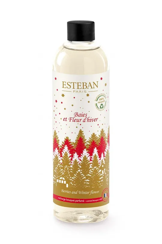 πολύχρωμο Συμπληρωματικό άρωμα χώρου Esteban Berries and Winter Flower 250 ml Unisex