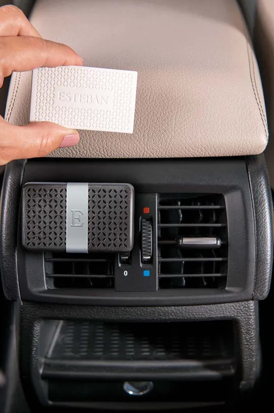 Uložak za difuzor u automobilu Esteban Ylang-Ylang 2-pack šarena